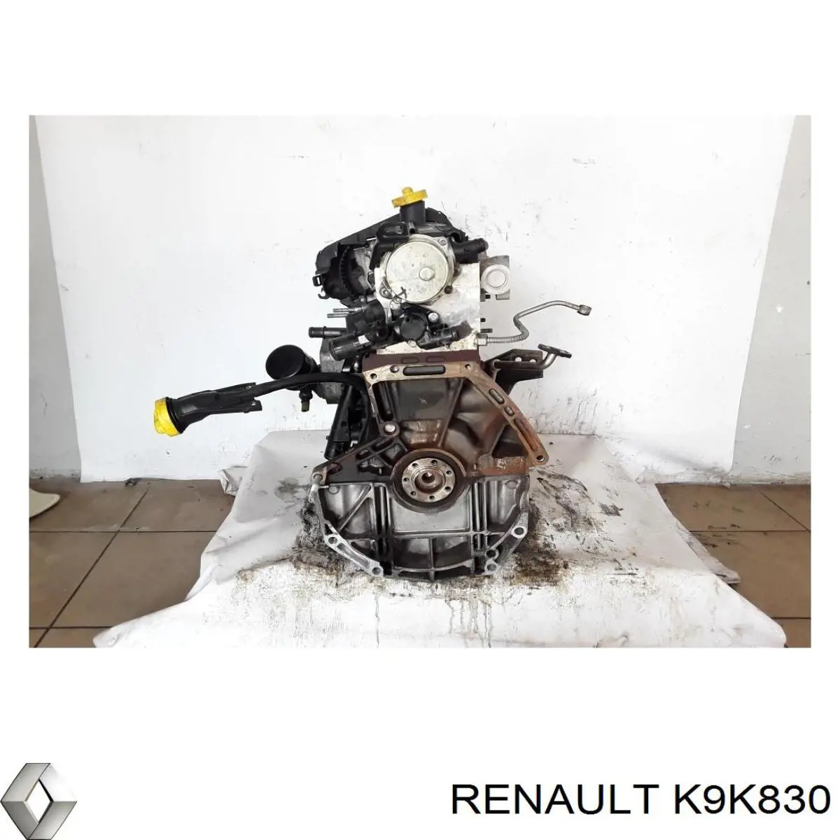 Motor completo K9K830 Renault (RVI)