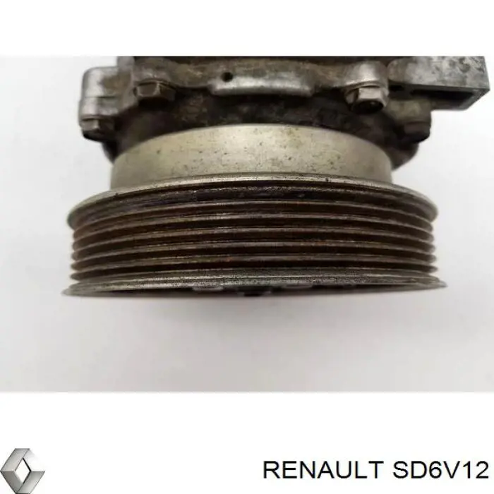 SD6V12 Renault (RVI)