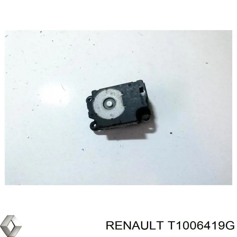 T1006419G Renault (RVI)