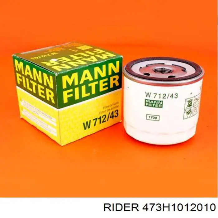 473H-1012010 Rider filtro de aceite