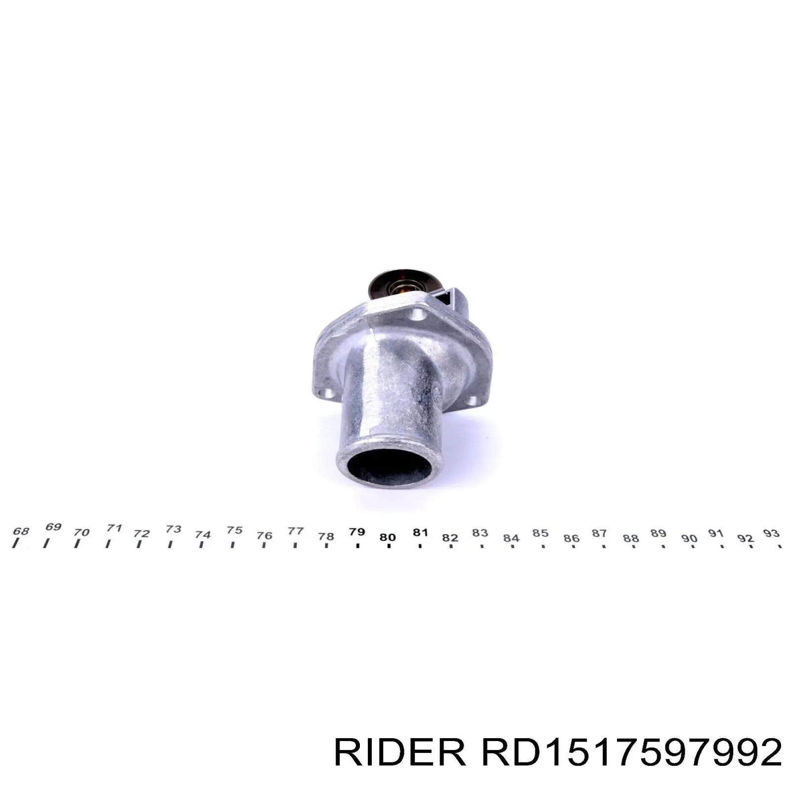 RD1517597992 Rider Termostato de agua