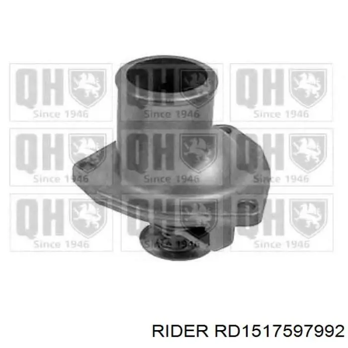 Termostato Rider RD1517597992 precio, desde 14,55 EUR