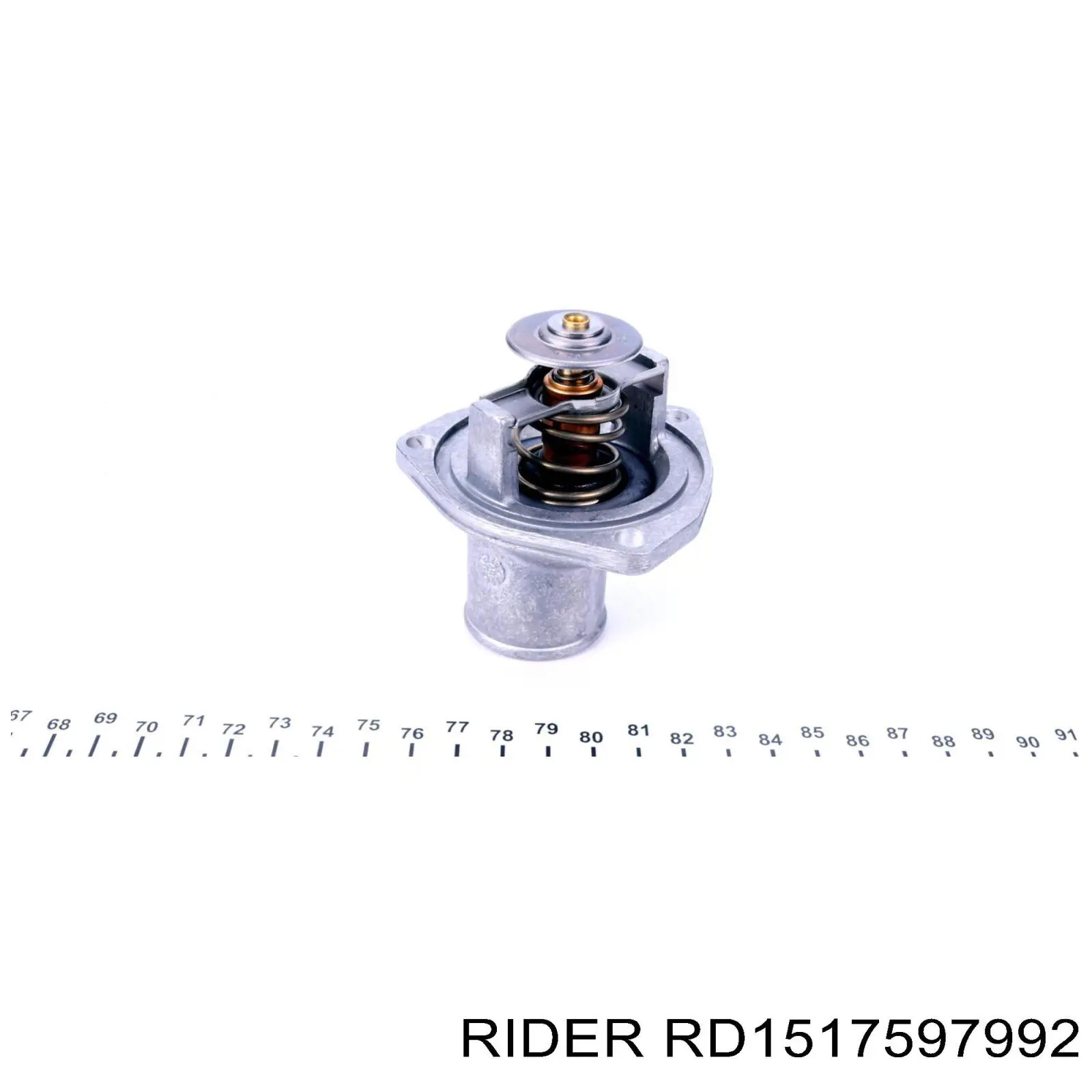RD1517597992 Rider Termostato de agua