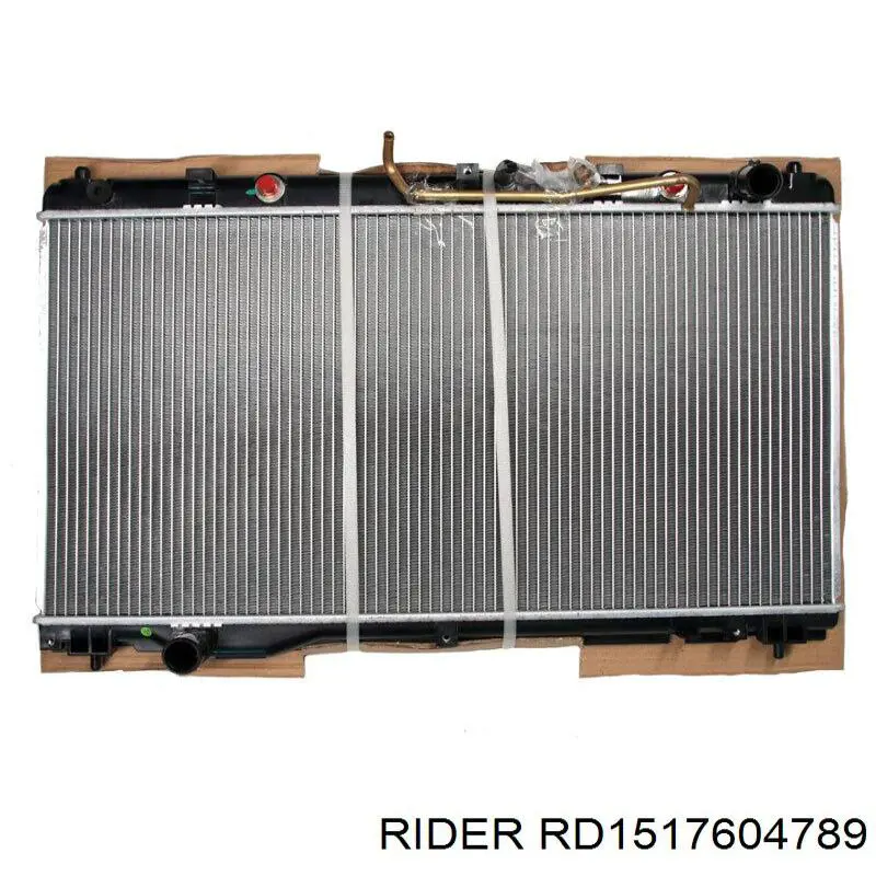 RD.1517604789 Rider termostato, refrigerante