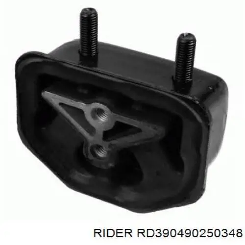 Comprar RD390490250348 Rider Soporte de motor derecho