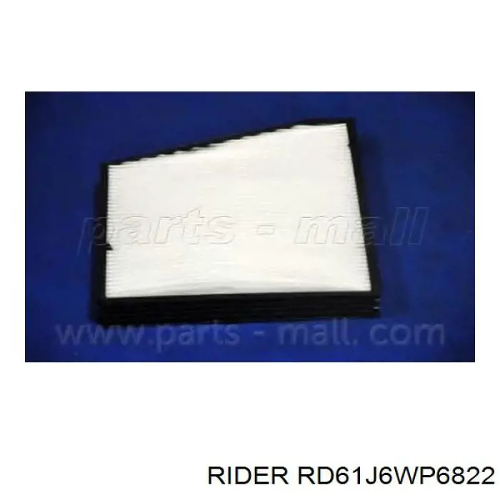 RD61J6WP6822 Rider Filtro antipolen