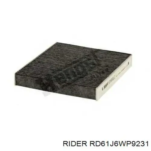 RD61J6WP9231 Rider filtro habitáculo