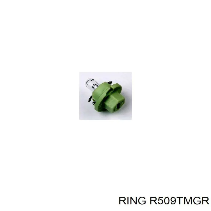 R509TMGR Ring luz del tablero (panel principal)