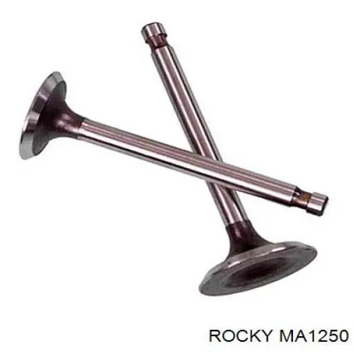 MA1250 Rocky Válvula de admisión