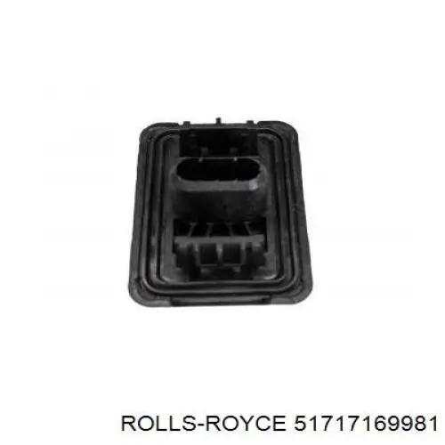 51717169981 Rolls-royce cojin de elevacion inferior (gato)