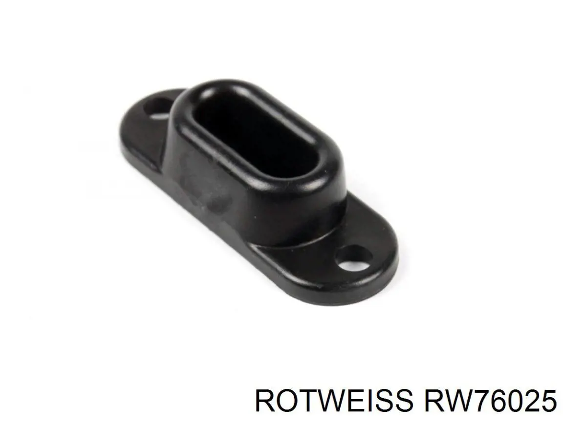 RW76025 Rotweiss moldura de puerta trasera izquierda