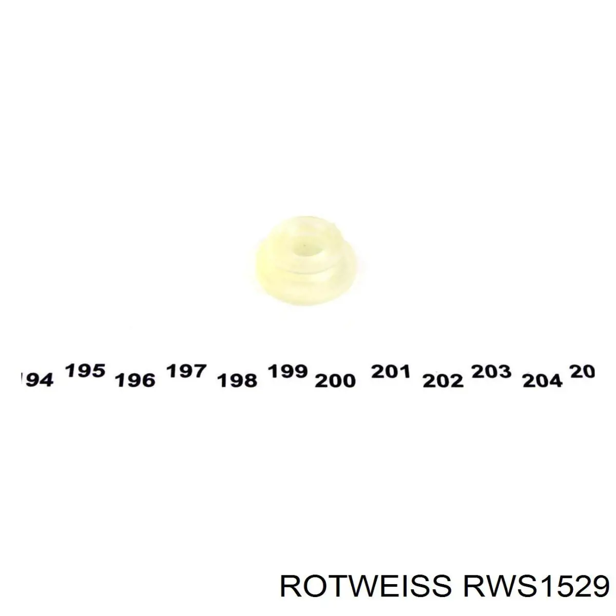 RWS1529 Rotweiss