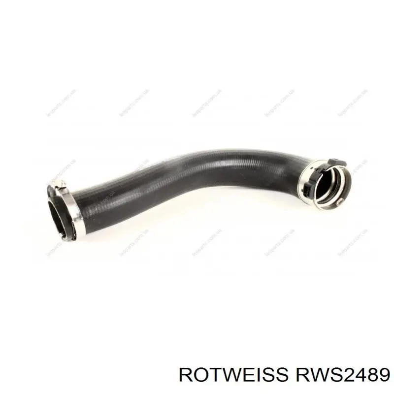RWS2489 Rotweiss