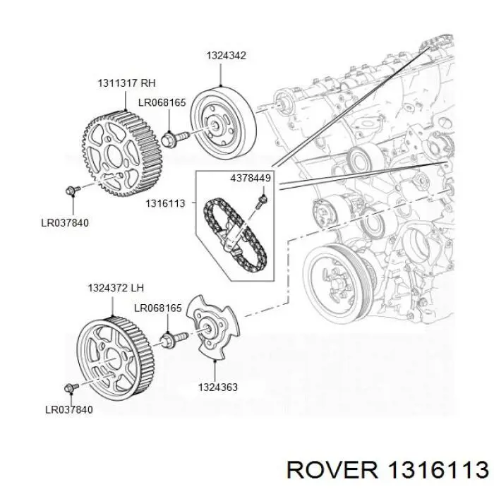 1316113 Rover cadena de distribución superior