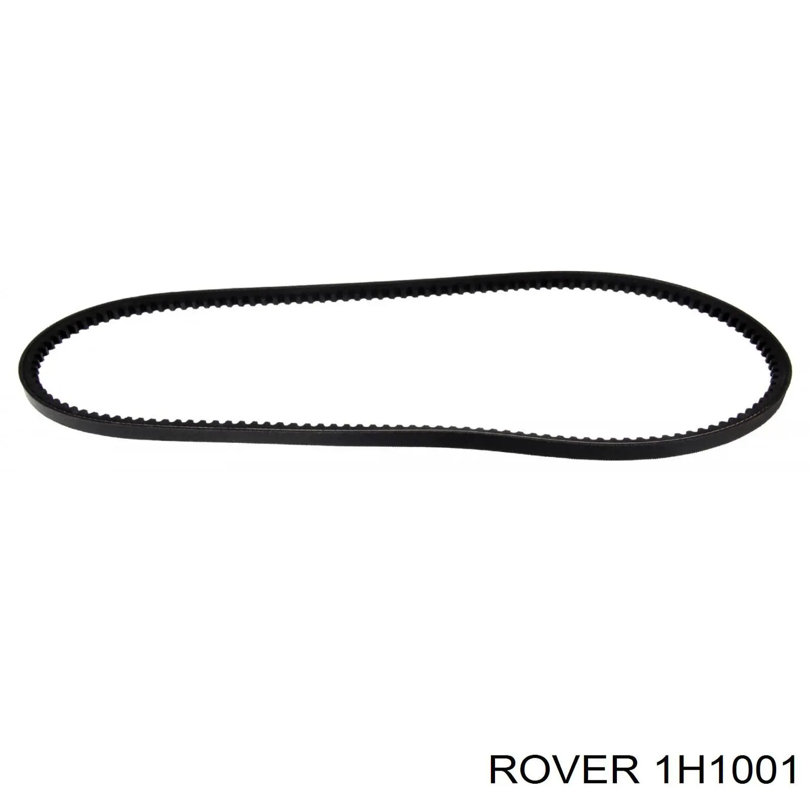 1H1001 Rover correa trapezoidal