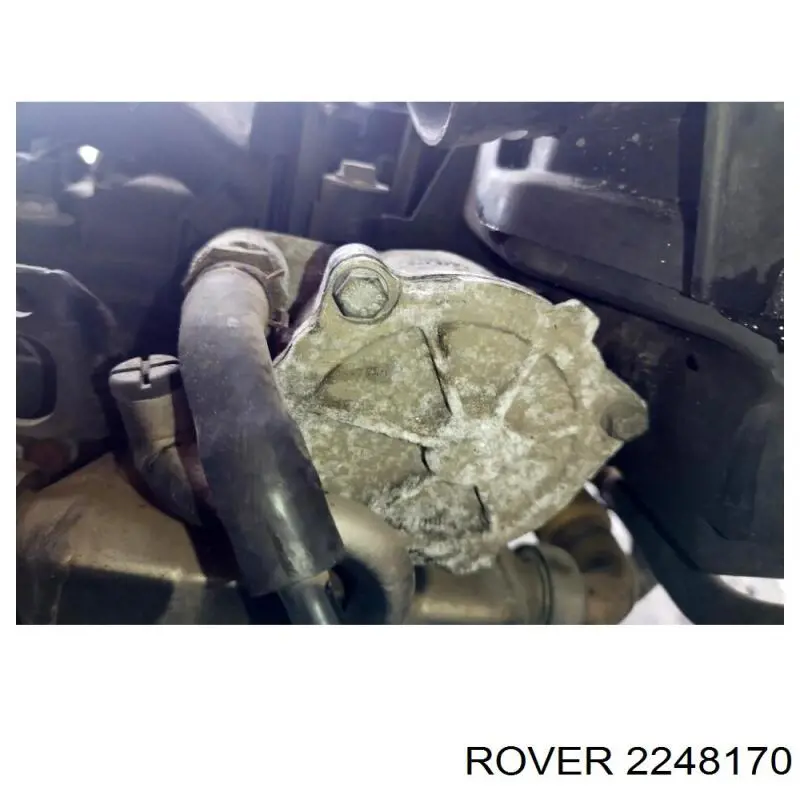 2248170 Rover