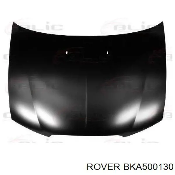 Comprar Capó Rover 75  RJ