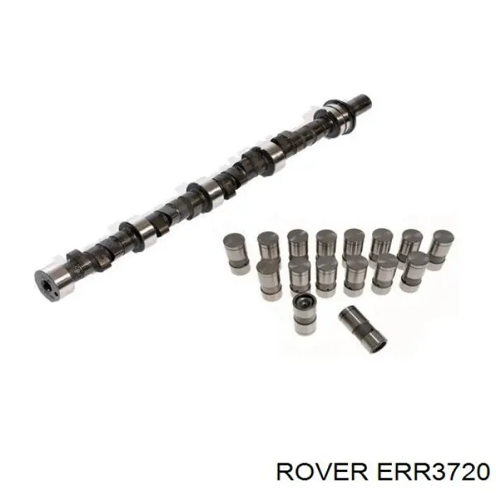 ERR3720 Land Rover árbol de levas