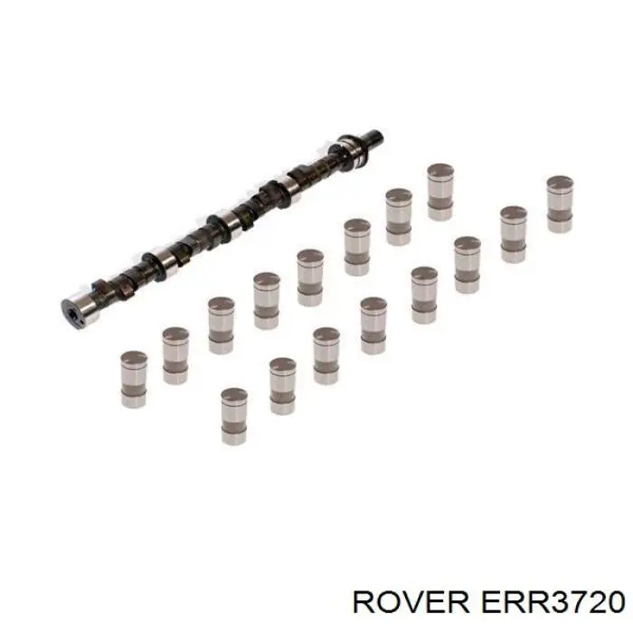 Kit árbol de levas para Land Rover Discovery II LJ ,LT