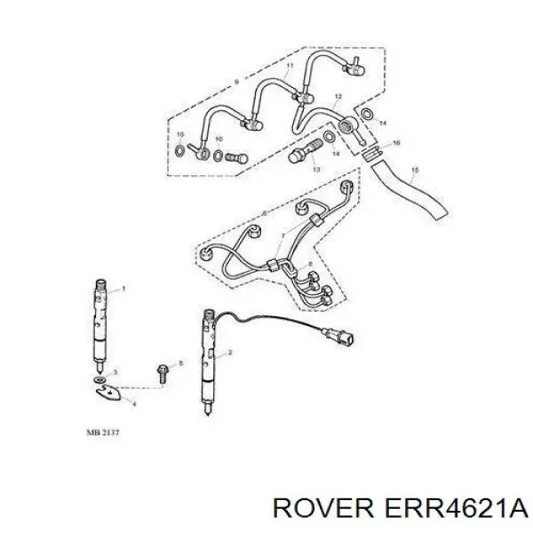 ERR4621A Rover junta anular, inyector