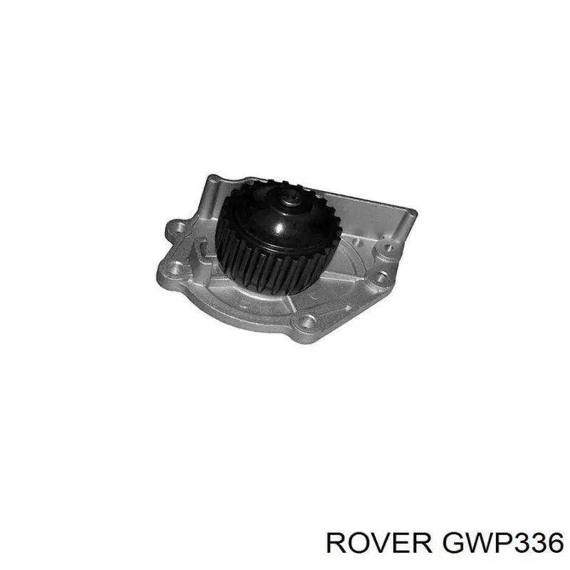 GWP336 Rover bomba de agua