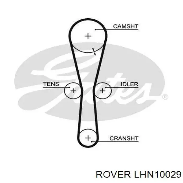 LHN10029 Rover correa distribucion