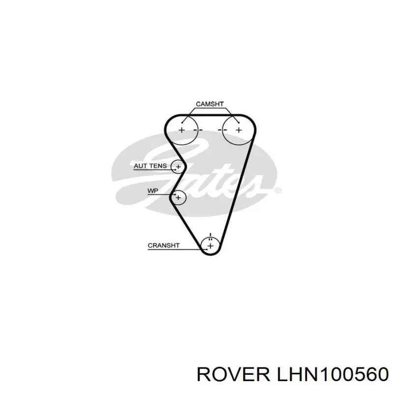 Correa distribución LHN100560 Rover