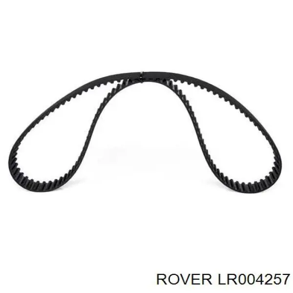 LR004257 Rover correa distribucion