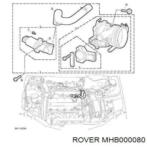  Cuerpo de mariposa Rover 25 