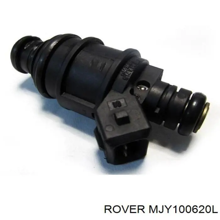 MJY100620L Rover