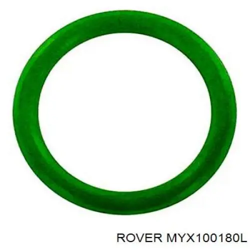 MYX100180L Rover