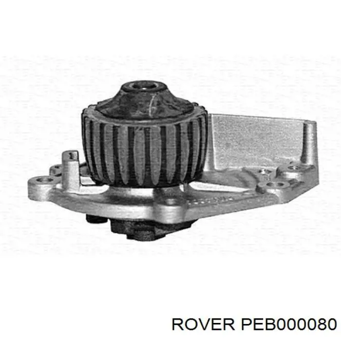 PEB000080 Rover bomba de agua