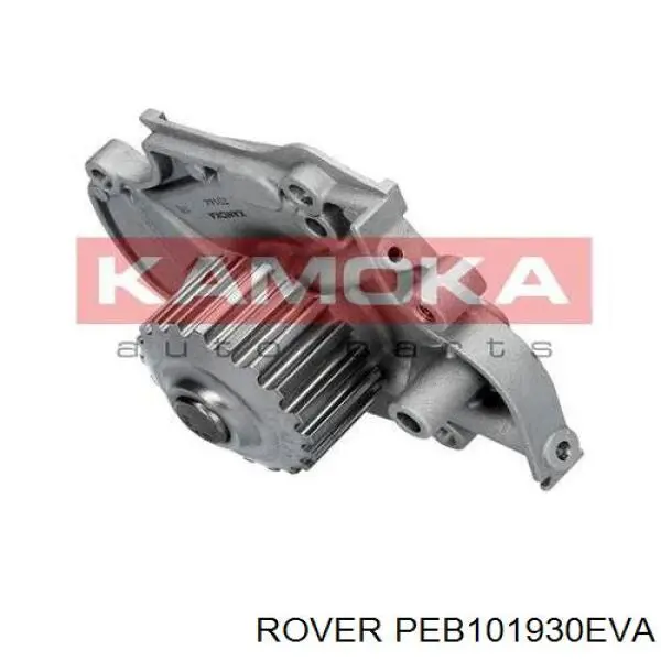 PEB101930EVA Rover bomba de agua