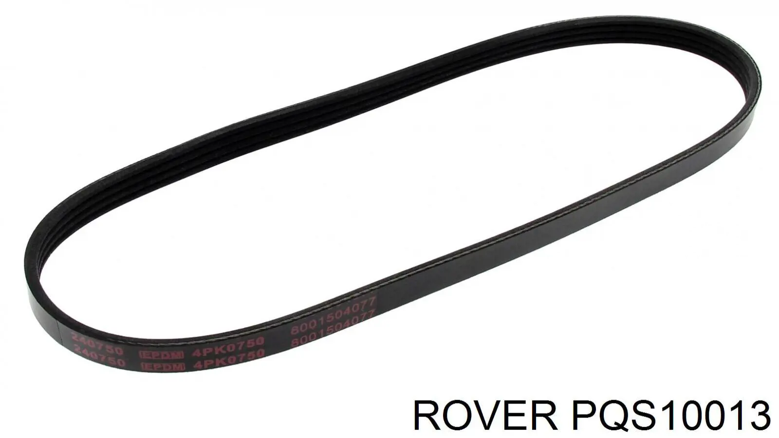 PQS10013 Rover correa trapezoidal