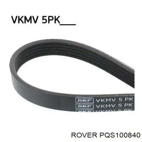 Comprar PQS100840 Rover Correa trapezoidal