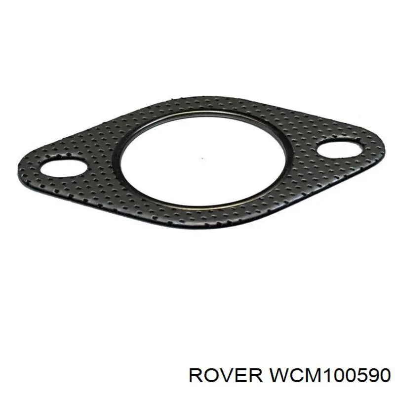 WCM100590 Rover