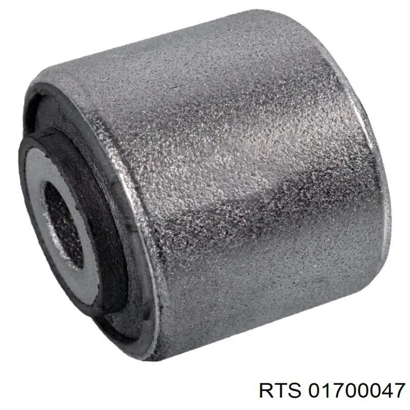 Silentblock del brazo de suspensión 01700047 RTS