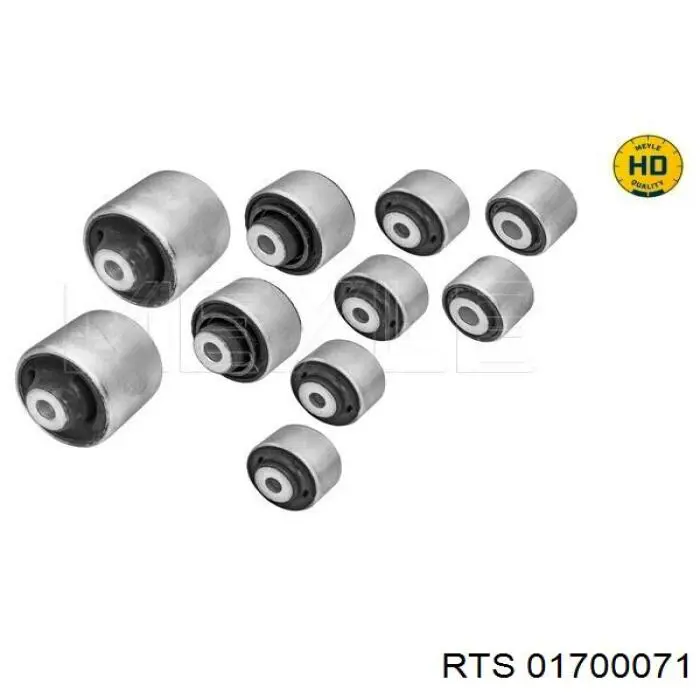 Buje del brazo de suspensión delantero superior 01700071 RTS