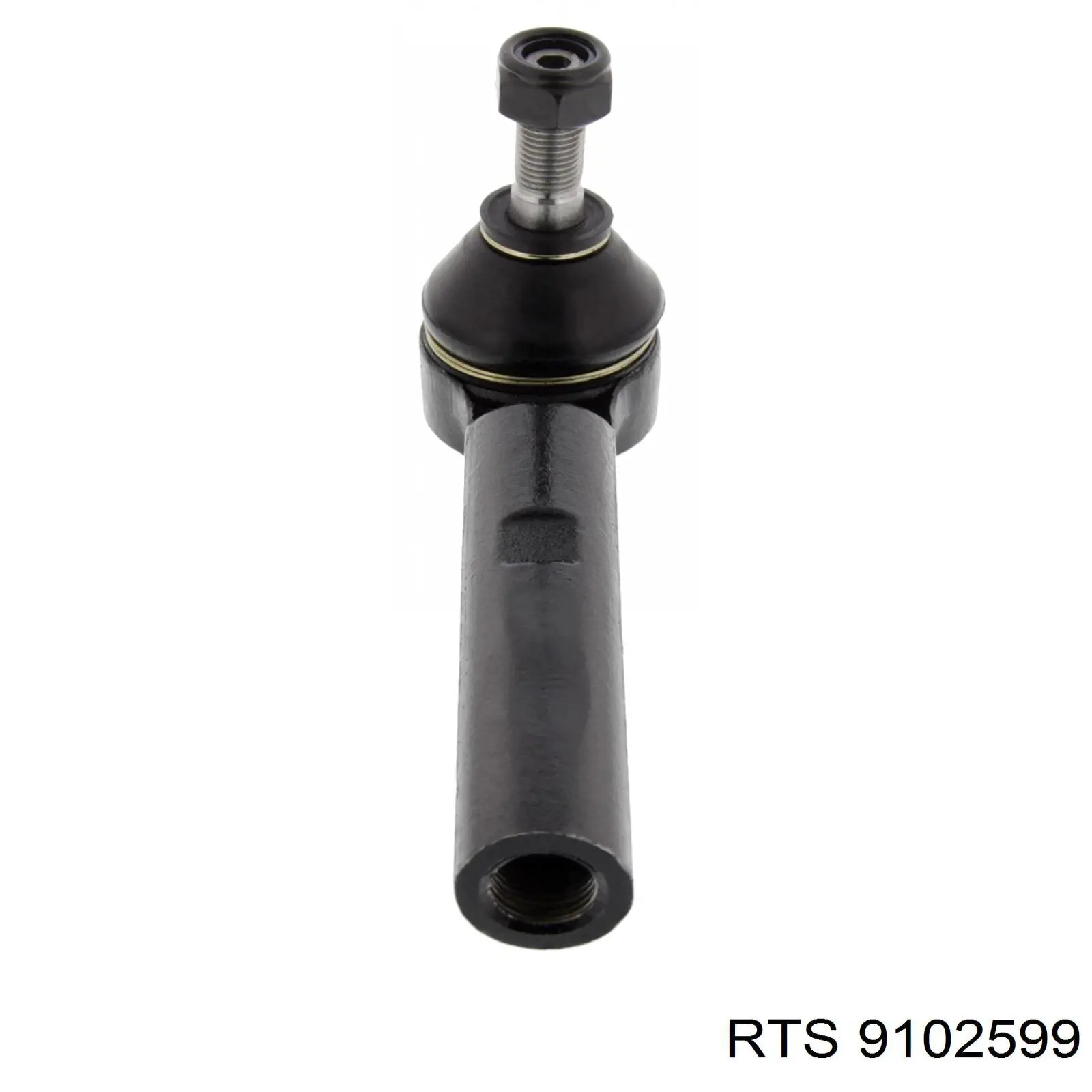 Comprar 9102599 RTS Terminal de dirección