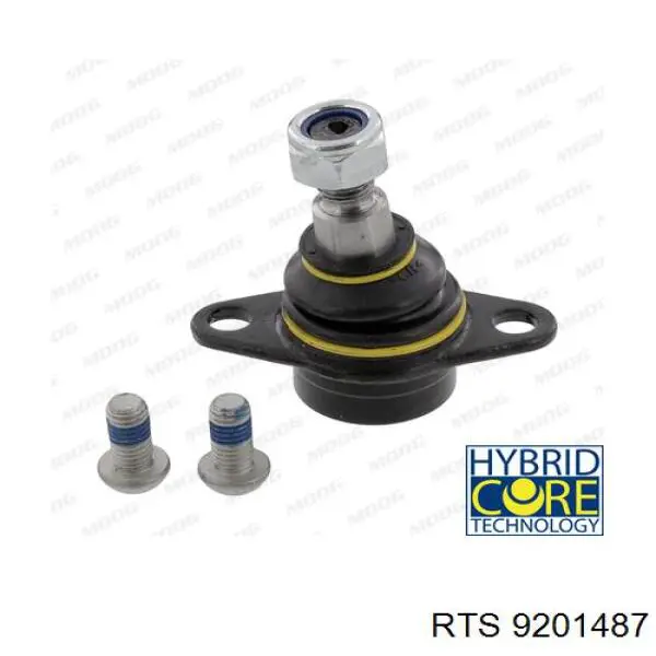 Brazo direccion coche RTS 9201487 precio, desde 48,50 EUR