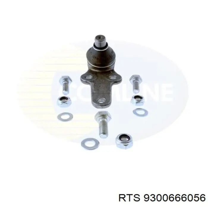 Rótula inferior de suspensión RTS 9300666056 precio, desde 32,30 EUR