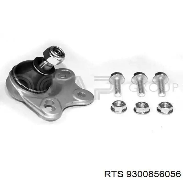 Rótula inferior de suspensión RTS 9300856056 precio, desde 29,18 EUR