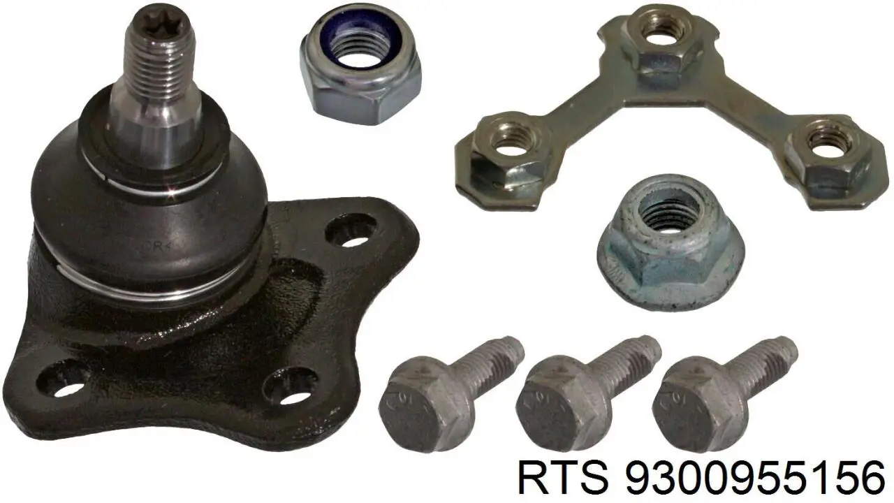 Rótula de suspensión inferior derecha RTS 9300955156 precio, desde 28,18 EUR