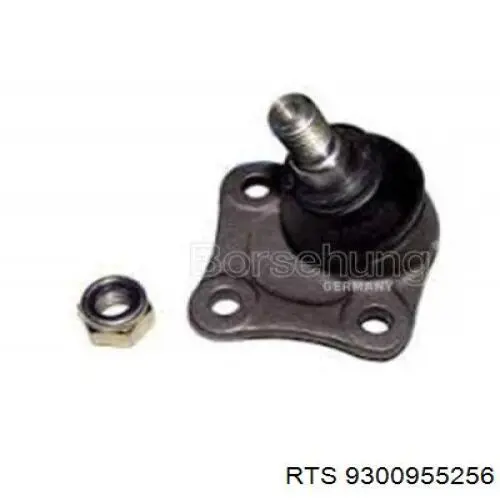 Rótula de suspensión inferior izquierda RTS 9300955256 precio, desde 28,18 EUR