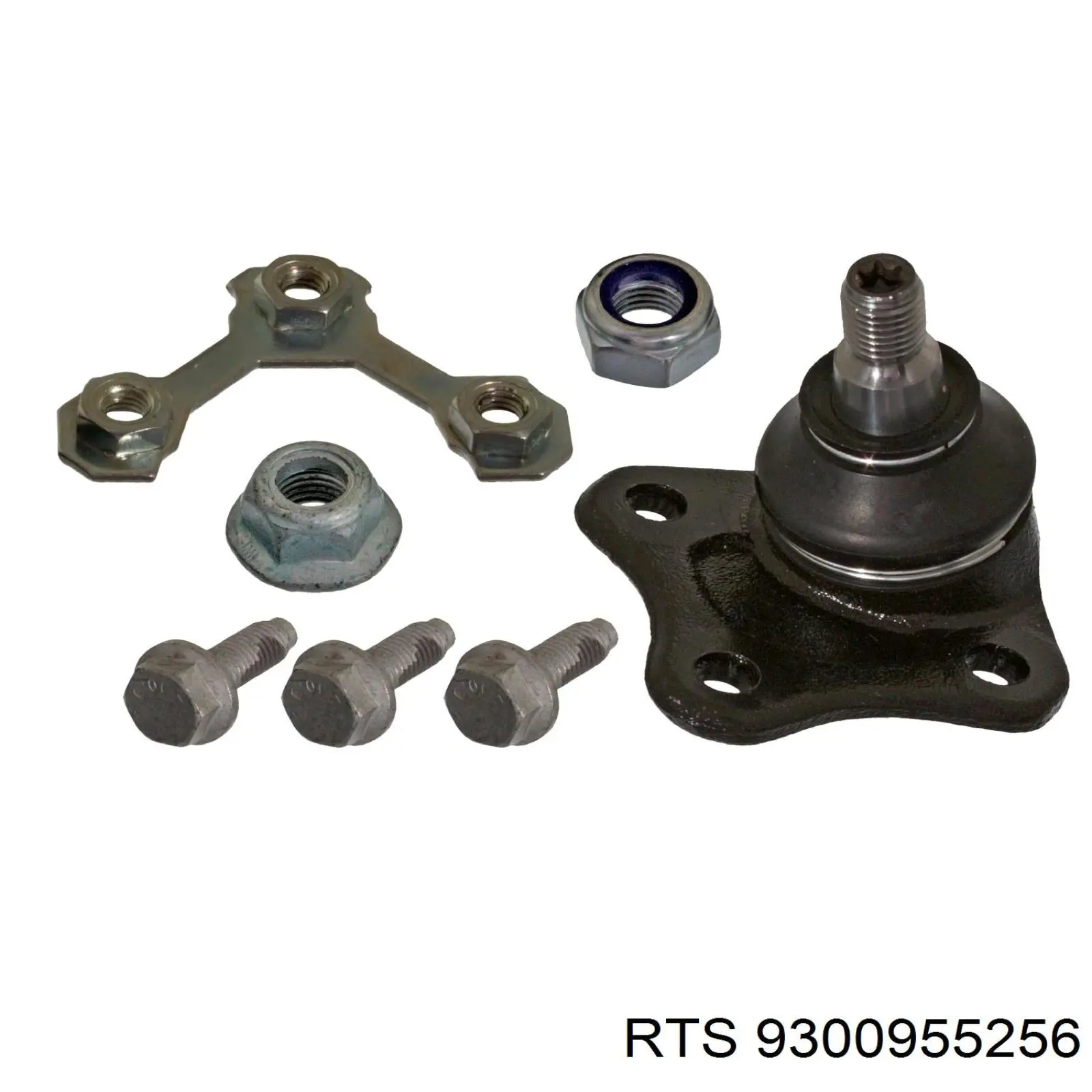 Rótula de suspensión inferior izquierda RTS 9300955256 precio, desde 28,18 EUR