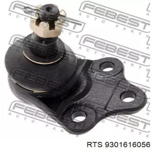Rótula inferior de suspensión RTS 9301616056 precio, desde 44,18 EUR