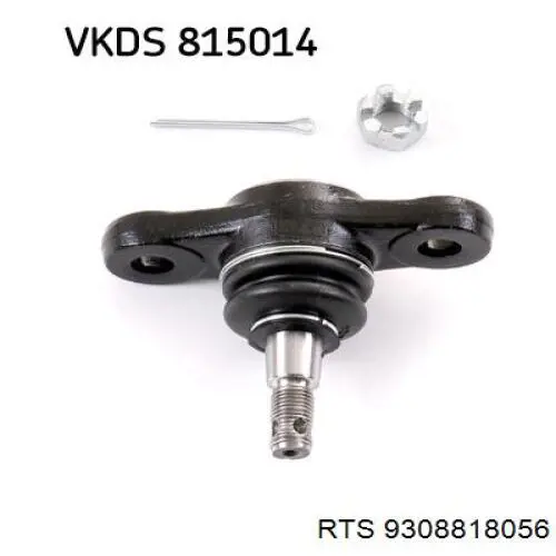 Rótula inferior de suspensión RTS 9308818056 precio, desde 27,88 EUR