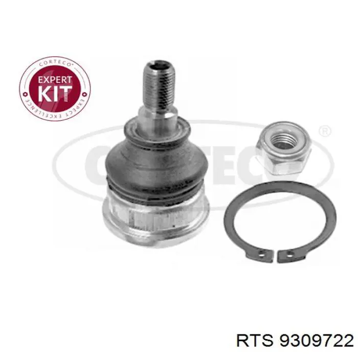 Rótula inferior de suspensión RTS 9309722 precio, desde 20,82 EUR