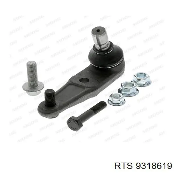 Rótula inferior de suspensión RTS 9318619 precio, desde 57,71 EUR