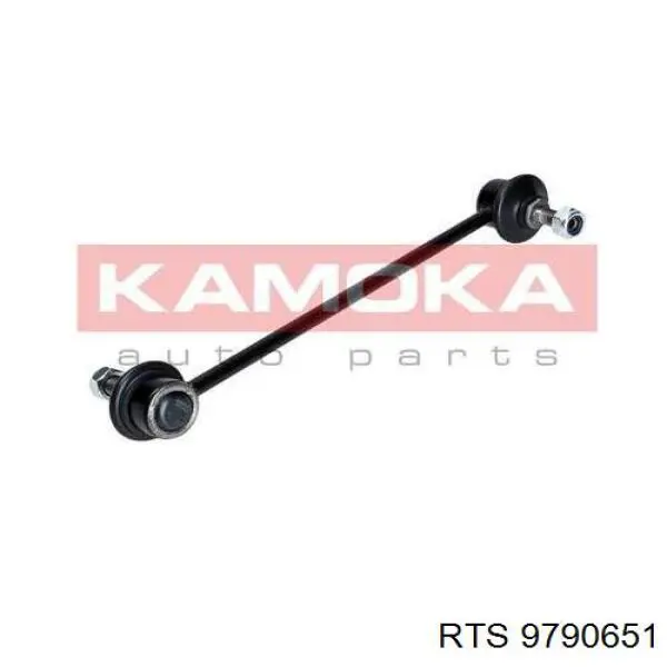 Bieleta estabilizadora delantera RTS 9790651 precio, desde 23,81 EUR